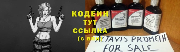 дурь Гусиноозёрск