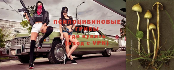 мяу мяу кристалл Гусев