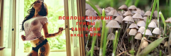 дурь Гусиноозёрск