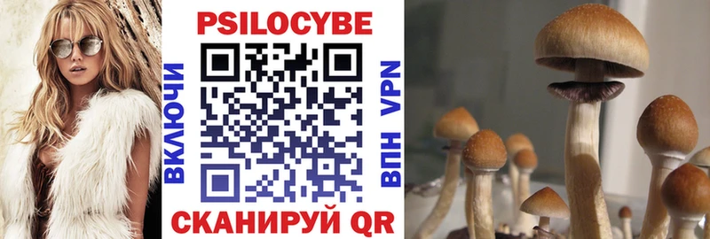 Галлюциногенные грибы Psilocybine cubensis  Купить закладки  Ардатов 